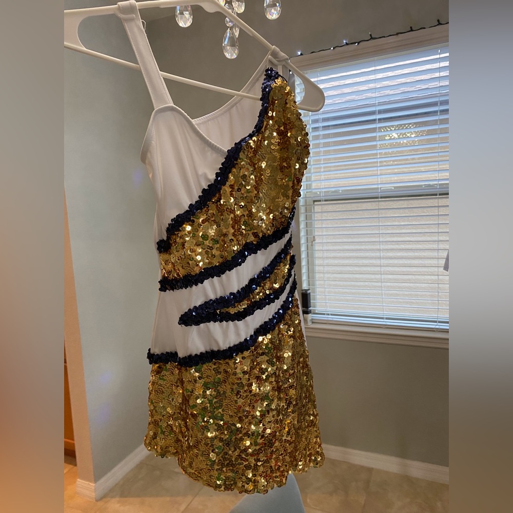 Stunning Sequin Dance Costume. Adult Medium